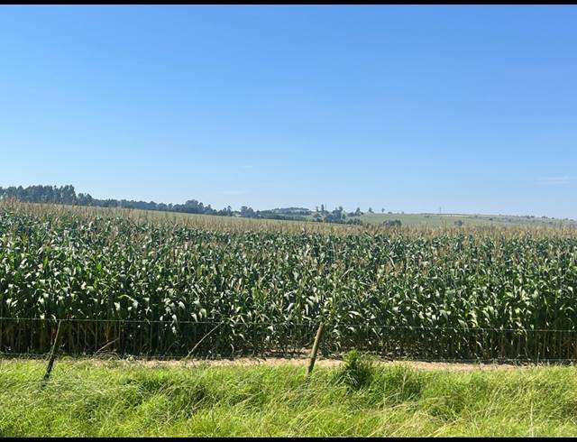 2,500HA FARM FOR SALE IN MOOI RIVER